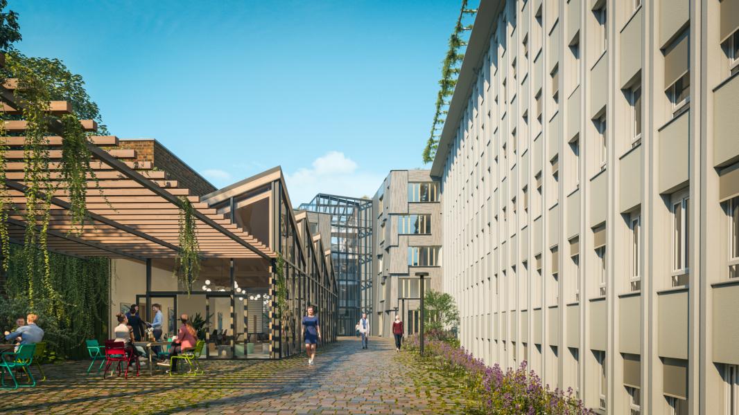Zillecampus